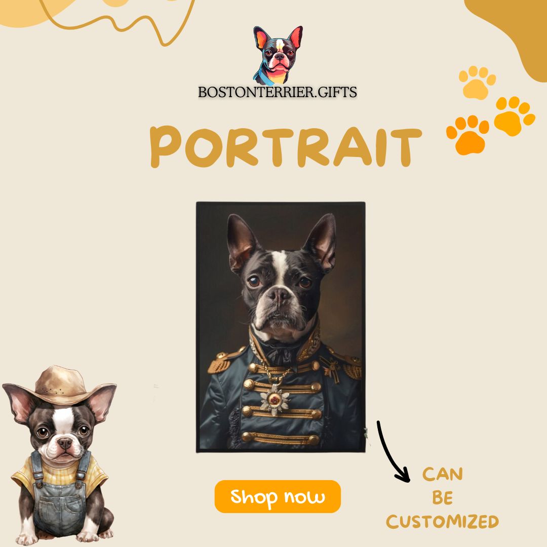 Boston Terrier Portrait