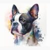 flat750x075f pad750x1000f8f8f8.u2 10 - Boston Terrier Gifts